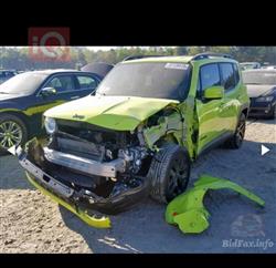 جيب رينيجيد